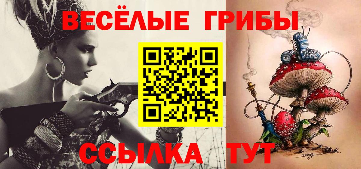 Псилоцибиновые грибы GOLDEN TEACHER  Галлюциногенные грибы Psilocybine cubensis  Вход с VPN  наркотики  Всеволожск 